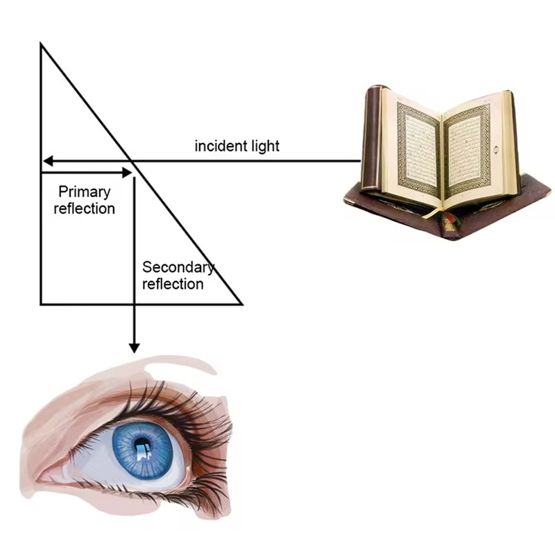 Diagram showing incident light reflecting from a book to an eye, highlighting both primary and secondary reflections. This ergonomic design of the Dual Vision Prism Lazy Glasses for Knitting and Crocheting ensures comfort while maintaining perfect visibility.