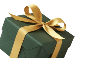 Surprise Mystery Gift