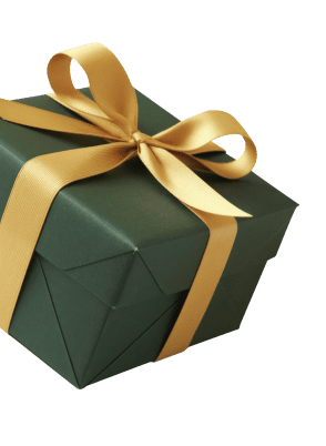 Surprise Mystery Gift