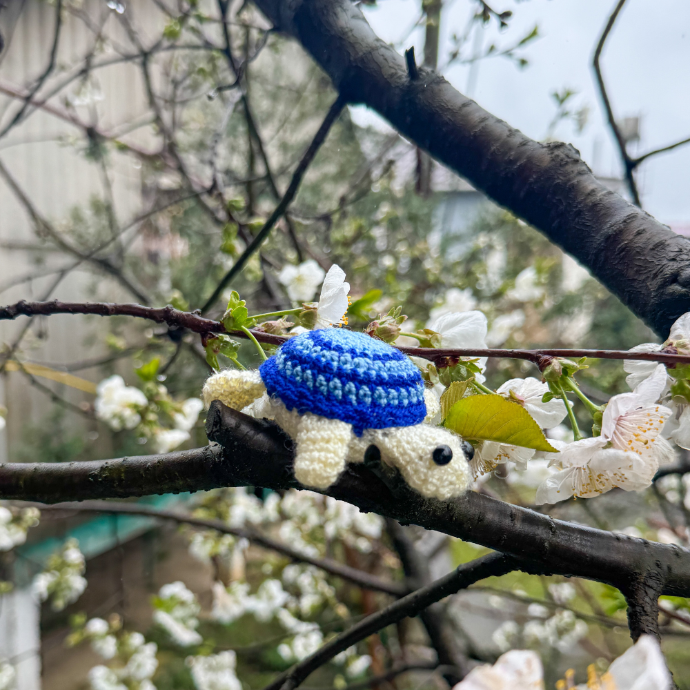 Pocket Turtle Crochet Pattern