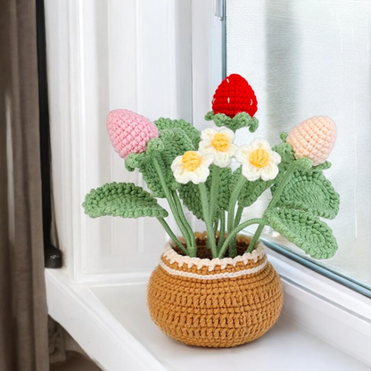 The Crochet Strawberry Plant Kit creates a charming strawberry plant in a brown pot with green leaves, white and yellow flowers, plus pink and red strawberries—perfect decor for any beginner crochet enthusiast.