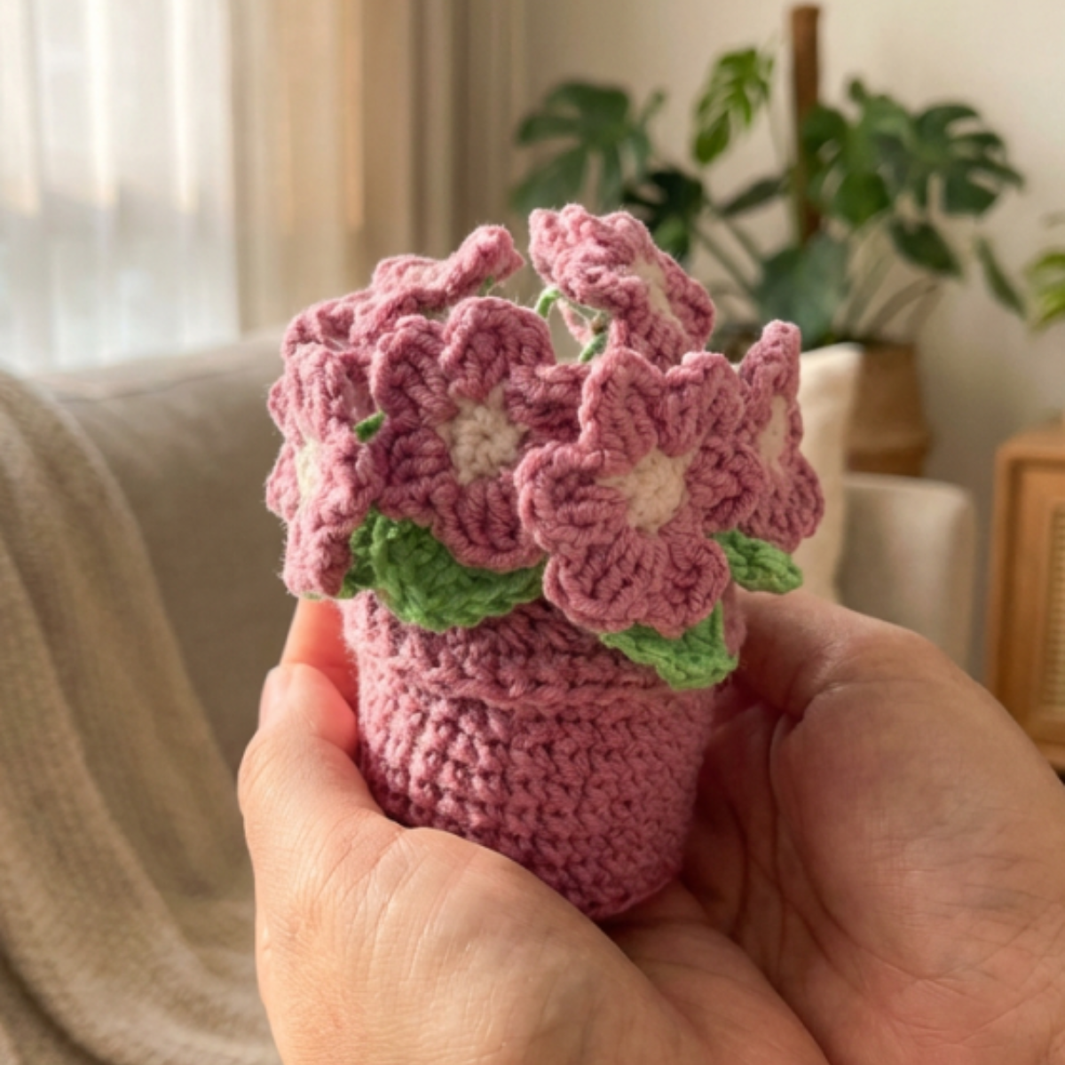 Pink Primrose Pot